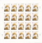 2011 Wedding Rose Forever First Class Postage Stamps